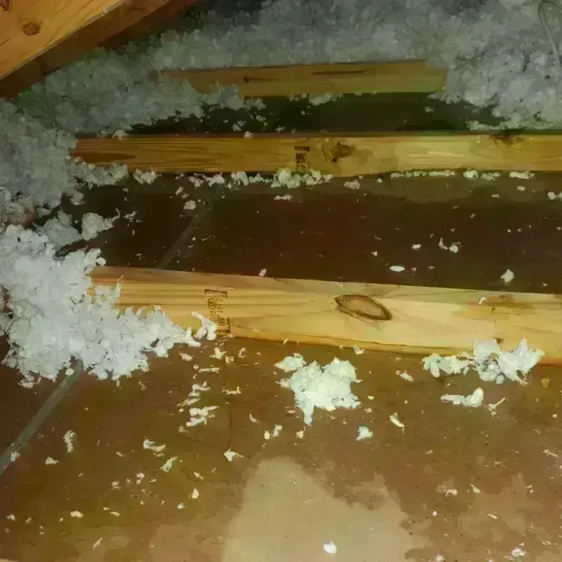 Attic Water Damage in Dublin, CA