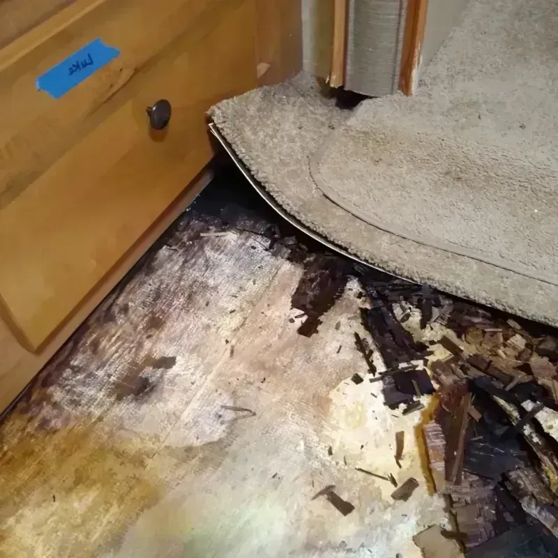 Wood Floor Water Damage in Dublin, CA